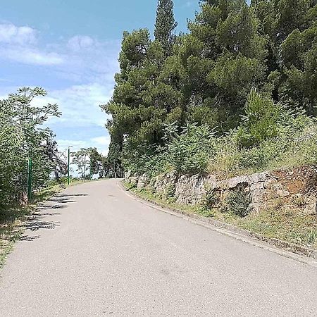 Aga Apartman Podgoriţa Exterior foto