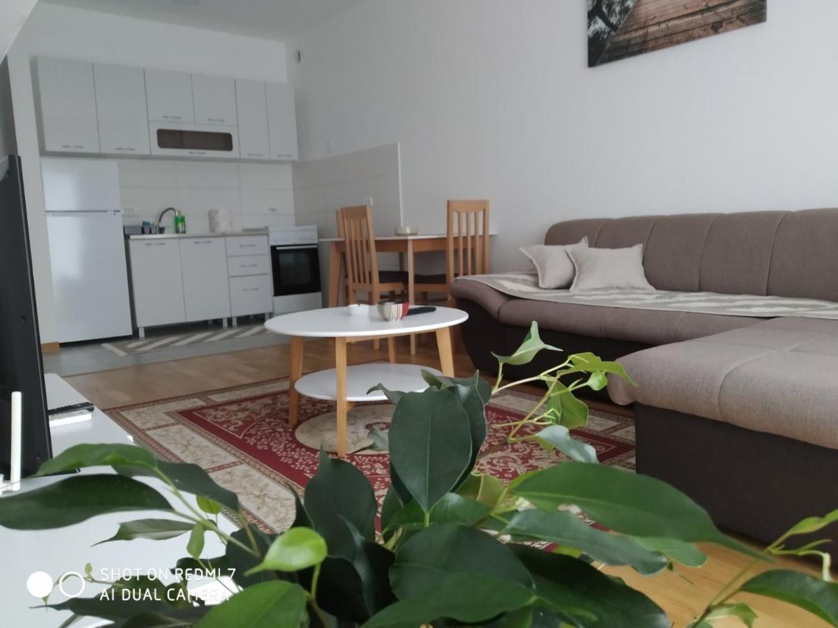 Aga Apartman Podgoriţa Exterior foto