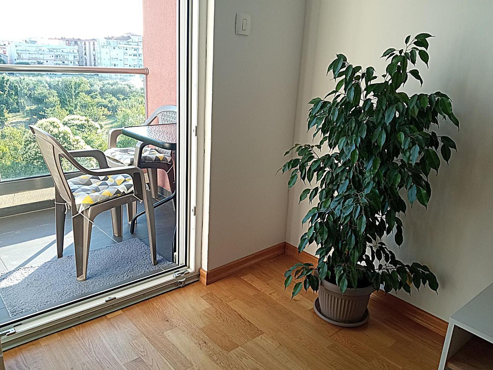 Aga Apartman Podgoriţa Exterior foto